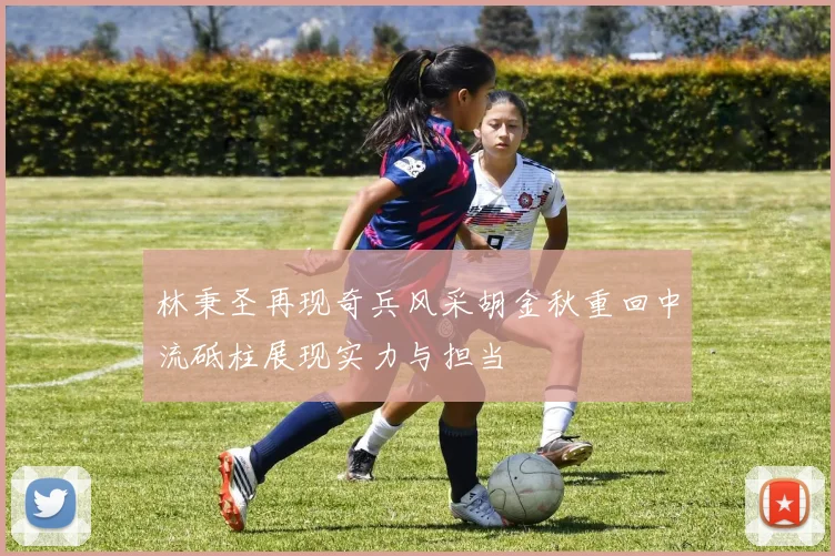 林秉圣再现奇兵风采胡金秋重回中流砥柱展现实力与担当